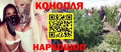 шишки Ликино-Дулёво