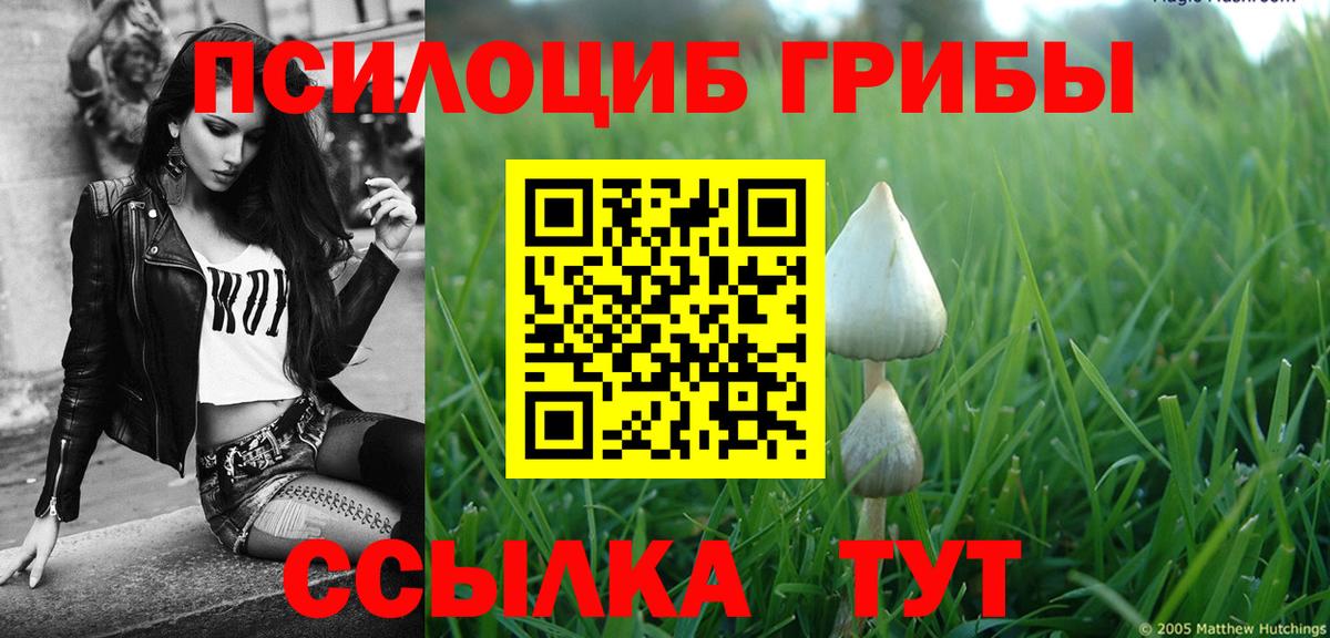 Хабаровск  Псилоцибиновые грибы мицелий  купить  цена  Псилоцибиновые грибы MAGIC MUSHROOMS  Вход с VPN 